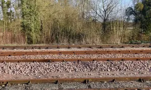 Kilka torów kolejowych na tle drzew i krzewów.