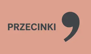 Szary przecinek i napis "PRZECINKI" na łososiowym tle.