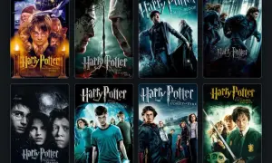 Osiem filmów z serii Harry Potter: Kamień Filozoficzny, Komnata Tajemnic, Więzień Azkabanu, Czara Ognia, Zakon Feniksa, Książę Półkrwi, Insygnia Śmierci cz. 1 i 2.