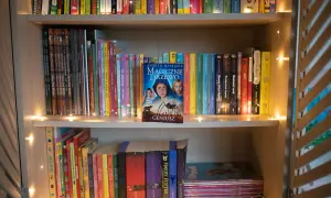 Półka z książkami, na środku książka "Magiczne Drzewo" Andrzeja Maleszki, ozdobiona lampkami.