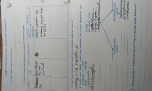 Streszczenie lektury "Pajączek na rowerze" - bohaterowie, fabuła i nauka.