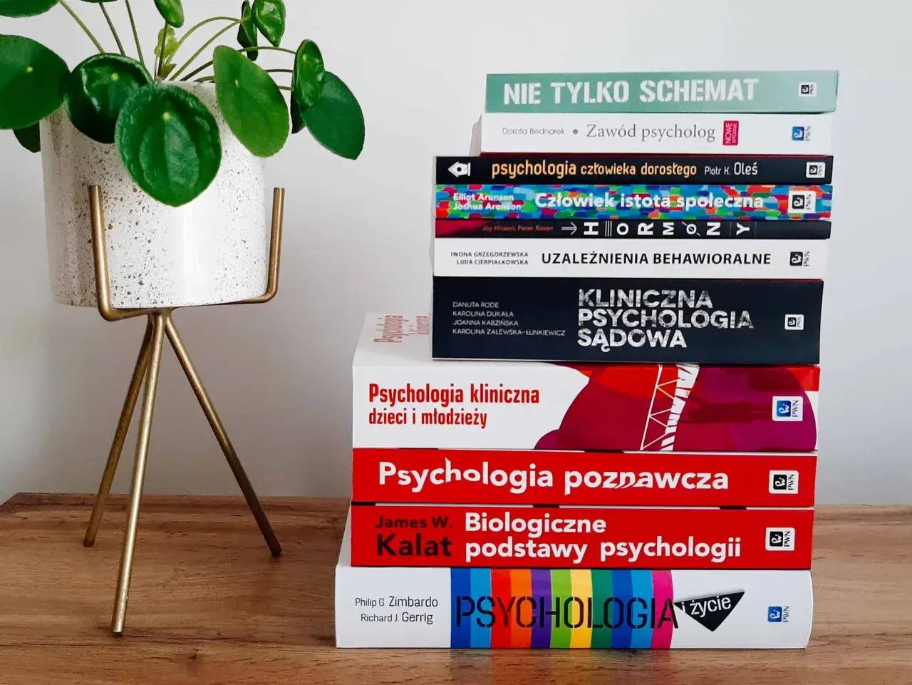 Stos książek o psychologii, w tym 