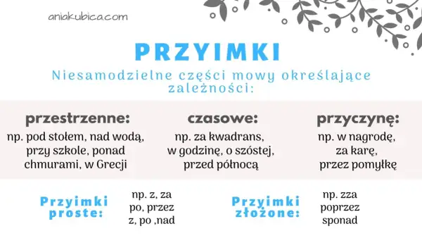 Grafika z napisem "PRZYIMKI" i przykładami przyimków przestrzennych, czasowych i przyczynowych.